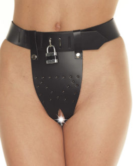 Leather Chastity Brief